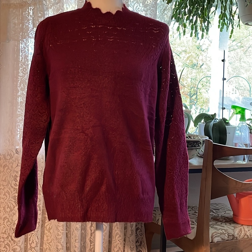 Liz Claiborne burgundy petite large sweater. Brand new.   I forgot to return it.